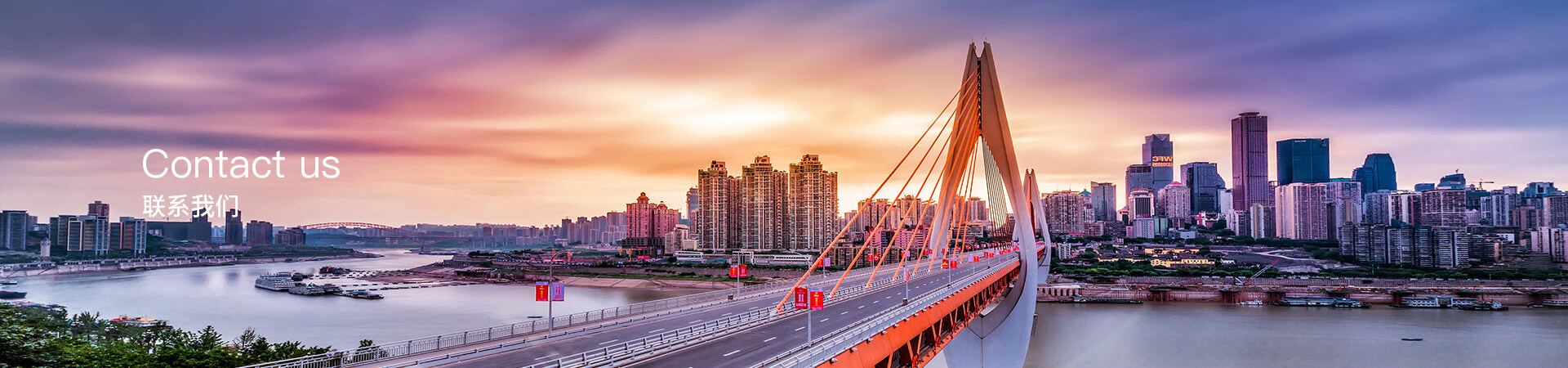 乐投（中国）